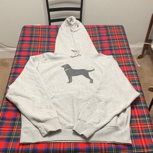 The Black Dog Gray Hoodie